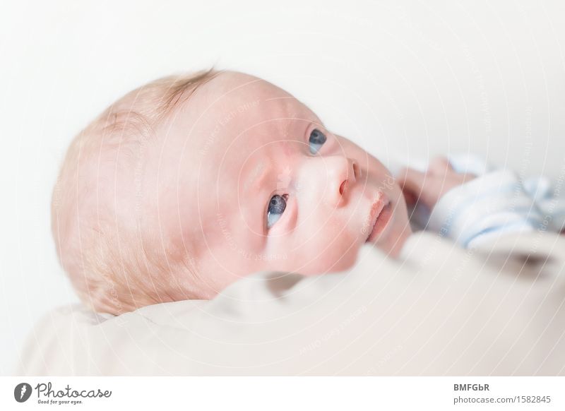 Was das Leben wohl noch so bereit hält? Mensch Baby Gesicht 1 0-12 Monate liegen Blick schaukeln kuschlig klein niedlich Gefühle Zufriedenheit Vertrauen