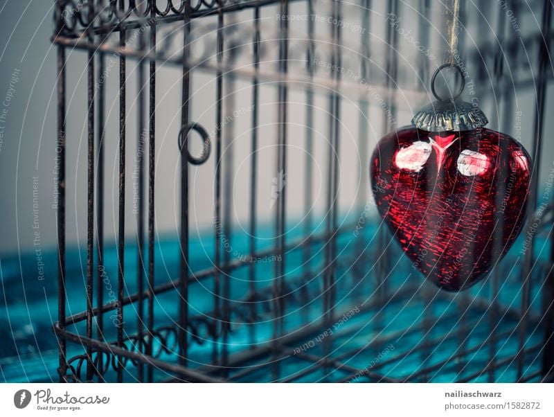 Rotes Herz Valentinstag Holz Metall Rost fangen Liebe retro schön blau rot Gefühle Verliebtheit Romantik Begierde Lust Sex Sehnsucht Farbe Idylle