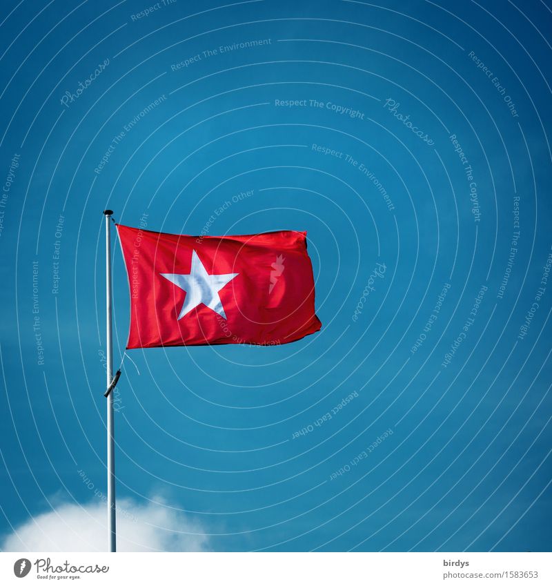 Identität Himmel Wolkenloser Himmel Wind Maastricht Niederlande Fahne Fahnenmast ästhetisch einfach frisch Originalität positiv blau rot weiß selbstbewußt loyal