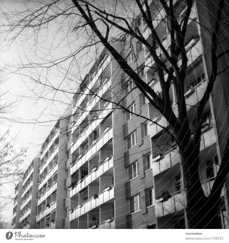 Tristes oder Nobless? Haus Hochhaus Plattenbau DDR Balkon einheitlich Wohnanlage Wohnhochhaus Zugabteil Wohnheim Potsdam Ameise Berlin Schwarzweißfoto Wohnlage