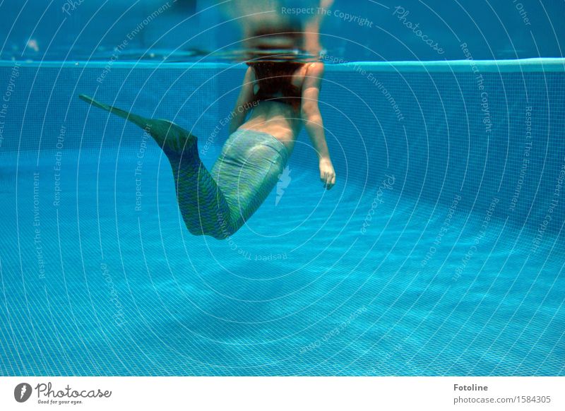 Die kleine Meerjungfrau - oder ein junges Mädchen schwimmt mit einer Flosse im Pool Mensch feminin Kindheit Haare & Frisuren Arme Hand 1 Urelemente Wasser