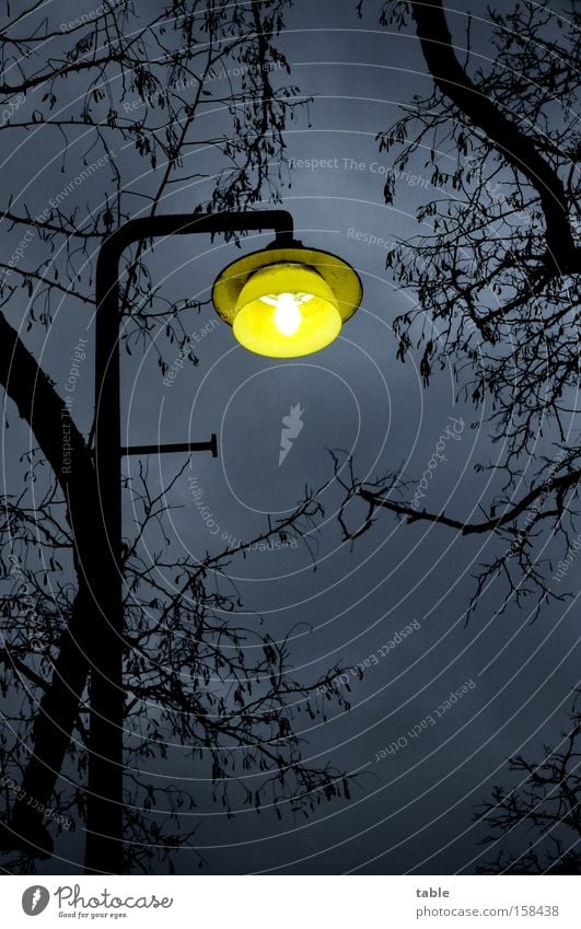 Erleuchtung Laterne Lampe Baum Ast Unwetter Wetter Abend Nacht Winter Licht Beleuchtung Fußgänger Sicherheit Bürgersteig Fußweg laufen fahren Verkehrswege