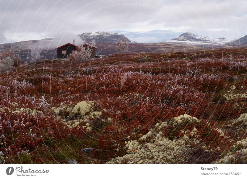 Morgenfrost in Rondane ruhig Berge u. Gebirge Haus Natur Landschaft Himmel Wolken Herbst Eis Frost Sträucher Moos Hütte kalt Einsamkeit Freiheit Norwegen Europa