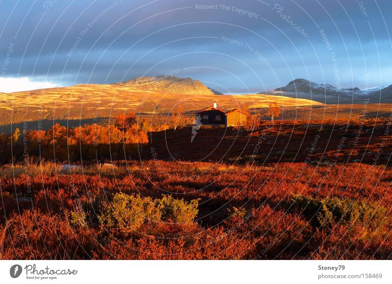 Morgenstimmung in Rondane ruhig Berge u. Gebirge Haus Natur Landschaft Himmel Wolken Sonnenaufgang Sonnenuntergang Sonnenlicht Herbst Sträucher Hütte gold rot