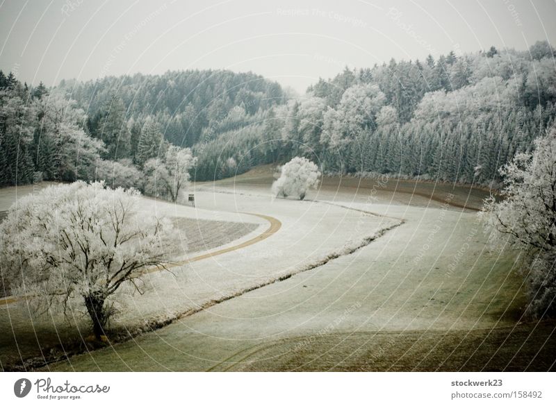 winterreise Bahnfahren Landschaft Schnee Puderzucker Raureif Wiese Baum Wald grün Winter Deutschland