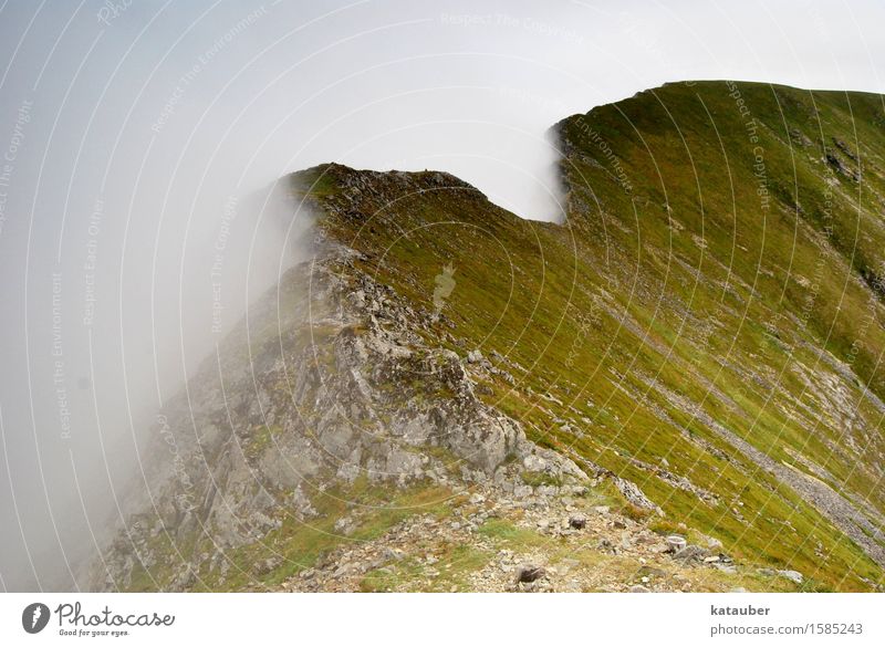 nebulös Natur Landschaft Urelemente Wolken schlechtes Wetter Nebel Wiese Felsen Berge u. Gebirge Insel Lofoten Norwegen vaeroy ästhetisch bedrohlich kalt grün