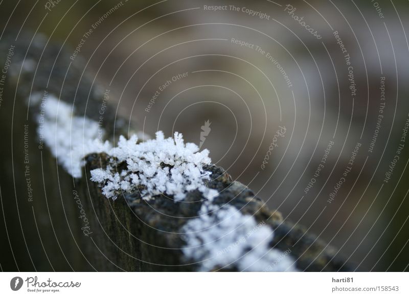 Frost Schnee Zaun Winter Eis weiß Eiskristall braun kalt Natur ruhig Ferien & Urlaub & Reisen Erholung Außenaufnahme Makroaufnahme