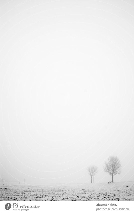 freunde Partnerschaft Nebel Baum Ast Landschaft Winter leer Schwarzweißfoto Schnee Erde