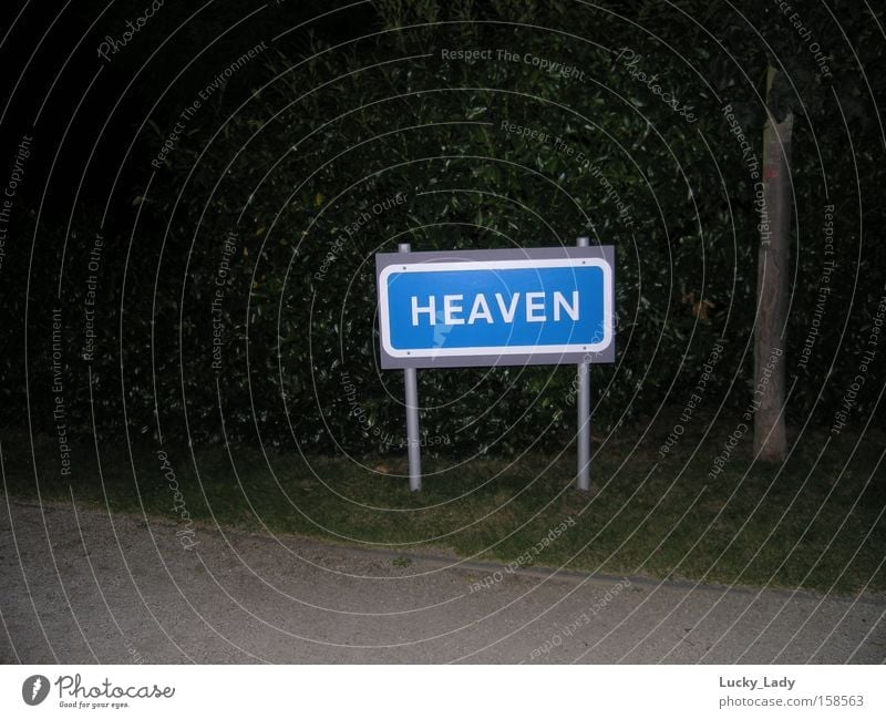 Way to heaven! Himmel Schilder & Markierungen Wege & Pfade blau weiß dunkel hell Straße Wiese Gras