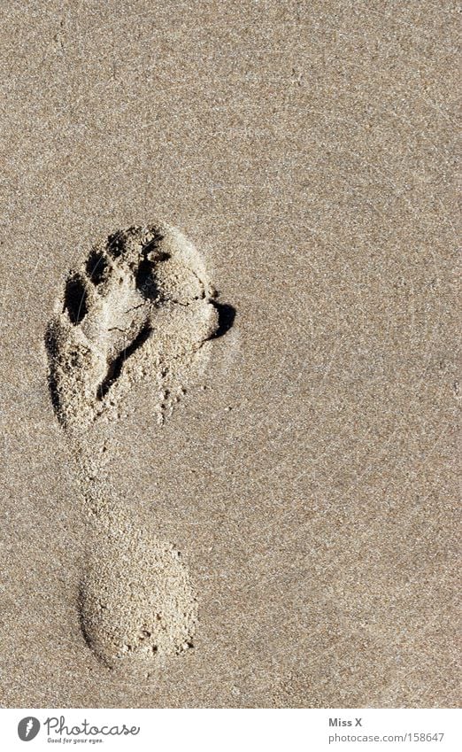 Ein kleiner Schritt für Photocase, ein großer Schritt für mich Farbfoto Außenaufnahme Ferien & Urlaub & Reisen Sommer Strand Meer Fuß Sand Nordsee Fußspur