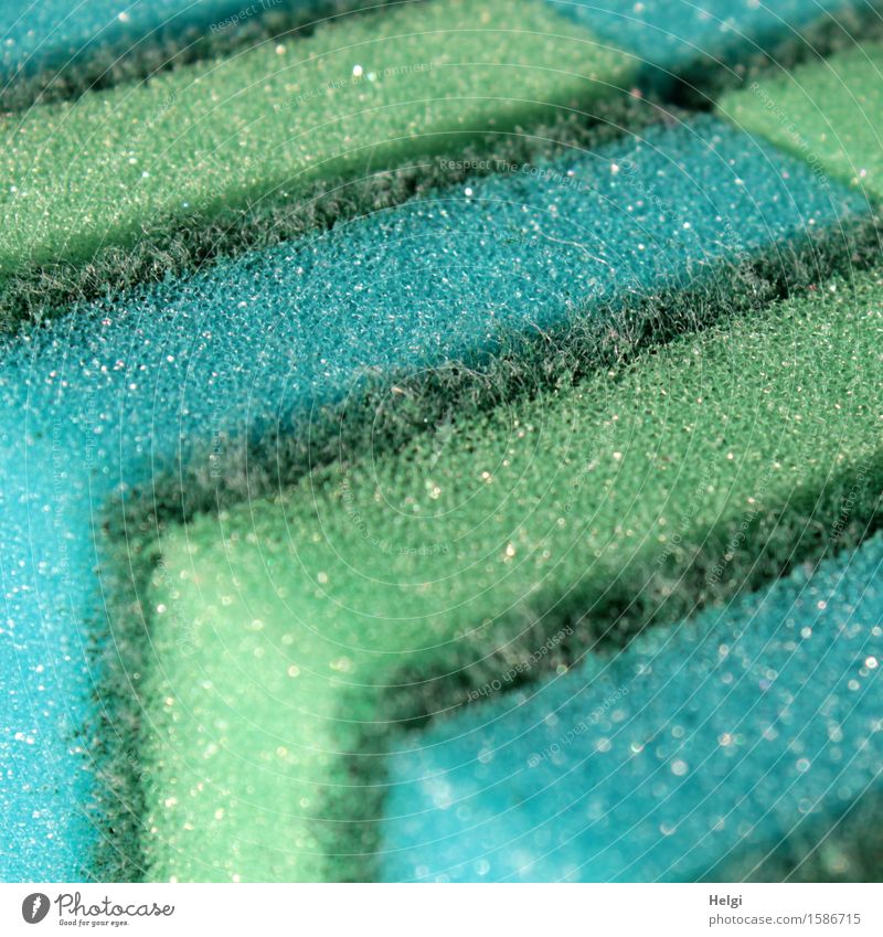 bereit... Schwamm Kunststoff Reinigen außergewöhnlich einzigartig Sauberkeit blau grün türkis Ordnungsliebe Reinlichkeit bizarr Frühjahrsputz Farbfoto