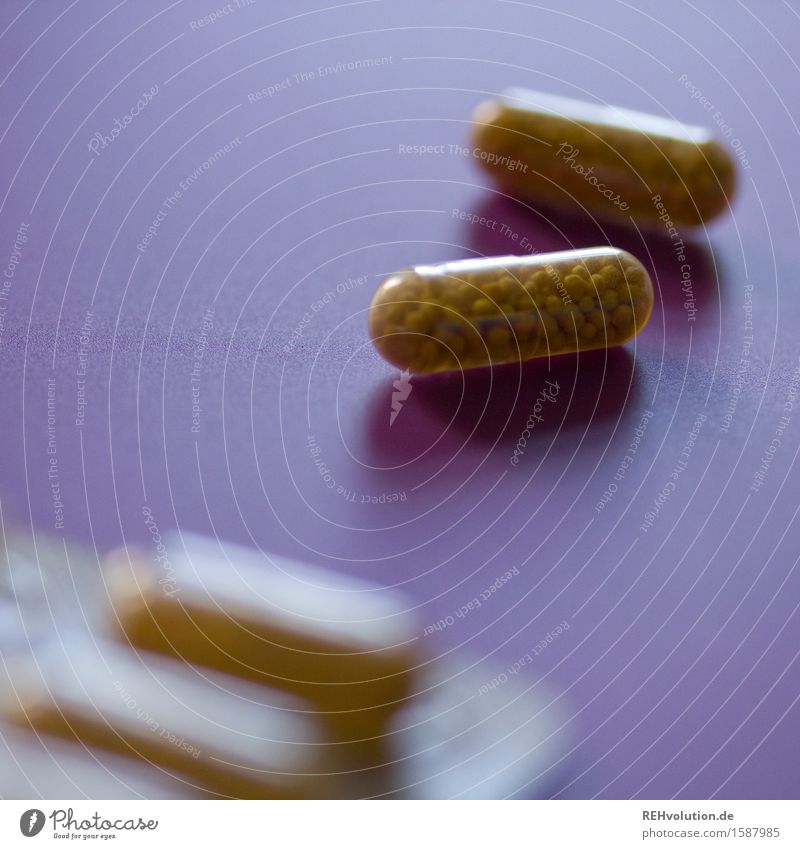 kapseln Gesundheit Gesundheitswesen Behandlung Krankheit Medikament klein gelb violett Verantwortung achtsam Farbfoto Innenaufnahme Hintergrund neutral Tag