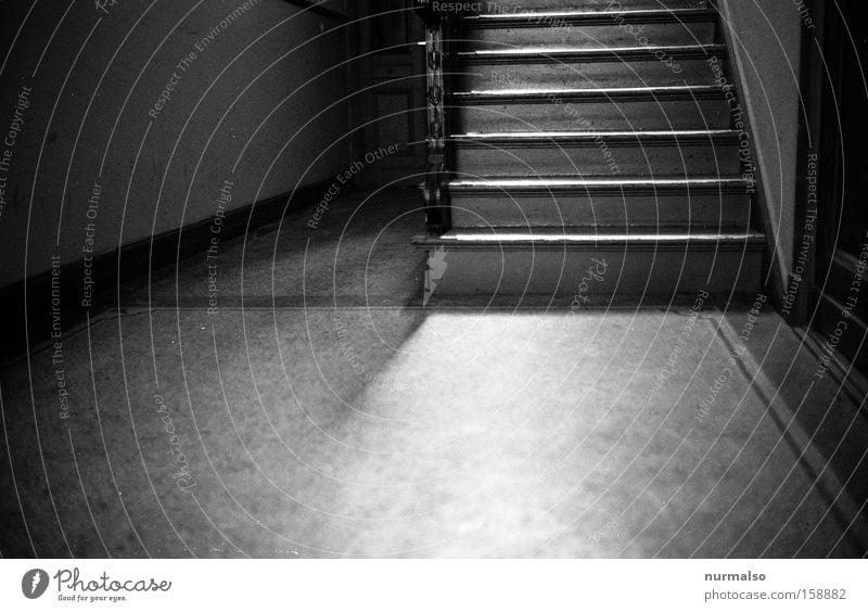 Aufabwärts Treppe Flur Treppenhaus Stadthaus Steinboden Einsamkeit kalt gehen Flucht analog Keller Architektur Häusliches Leben Schwarzweißfoto Kellertreppe