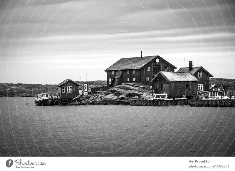 Kleiner Hafen auf einer Schäreninsel in Schweden Panorama (Aussicht) Starke Tiefenschärfe Reflexion & Spiegelung Kontrast Licht Tag Textfreiraum rechts