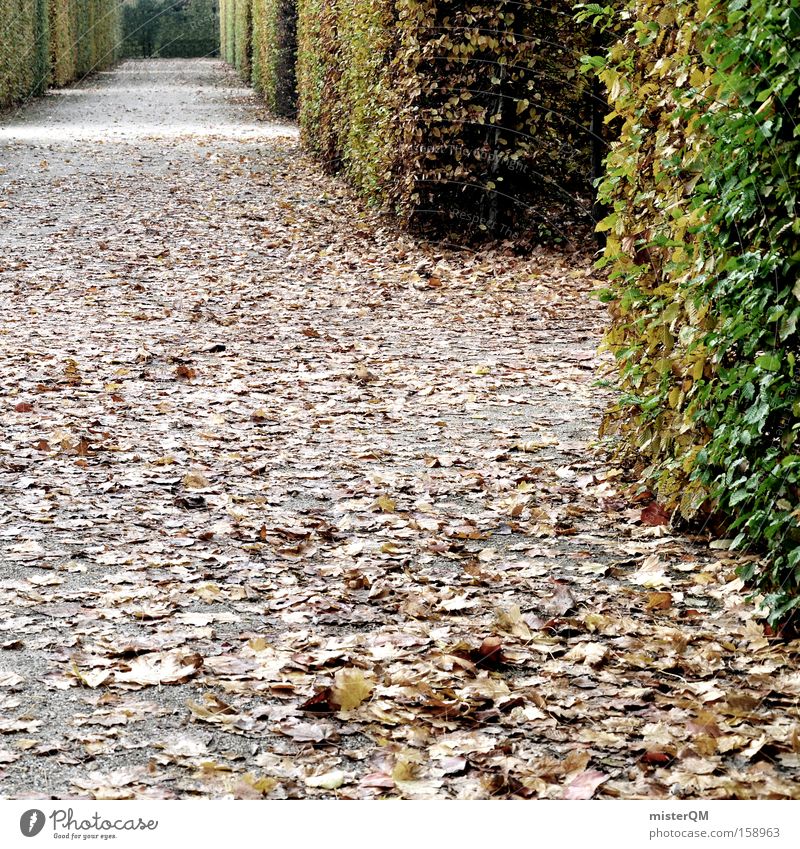 "Labyrinth Alltag" oder "Viele Wege führen nach Rom" Irrgarten Garten Park grün Herbst Blatt Spaziergang Schlossgarten Aufgabe herausfordernd durcheinander