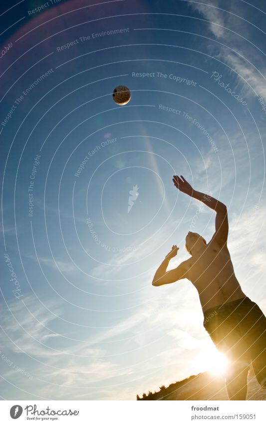 aufschläger Silhouette Sand Ball Sonne Gegenlicht Jugendliche Coolness Wärme sportlich Spielen Sonnenuntergang Volleyball springen Mann Barfuß Spannung