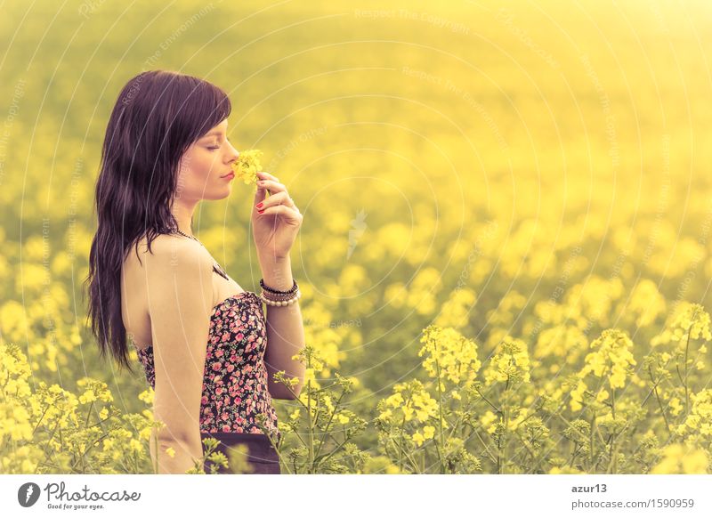Schöne junge glückliche Frau in der Sonne riecht an gelber Blume. Attraktives Mädchen schnuppert an Blumen auf einer Wiese bis zum Horizont im Sonnenschein im Frühling oder Sommer. Foto einer Serie.
