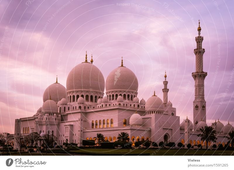 1001 Nacht X Hauptstadt Bauwerk Gebäude Architektur Sehenswürdigkeit Wahrzeichen Denkmal ästhetisch außergewöhnlich historisch Sauberkeit Macht Schutz Abu Dhabi