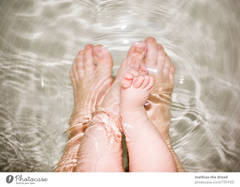 PLANTSCHE FÜßE Fuß Beine Mensch Körperteile Zehen Badewanne Wasser Schwimmen & Baden Mutter Kind Zusammensein süß Baby schön Kleinkind Vertrauen klein Fußbad