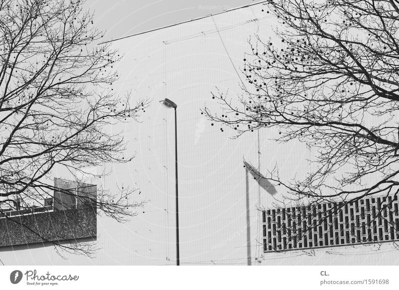 laterne Herbst Winter Schönes Wetter Baum Mauer Wand trist Stadt Laterne Straßenbeleuchtung Laternenpfahl Schwarzweißfoto Außenaufnahme Menschenleer Tag Licht