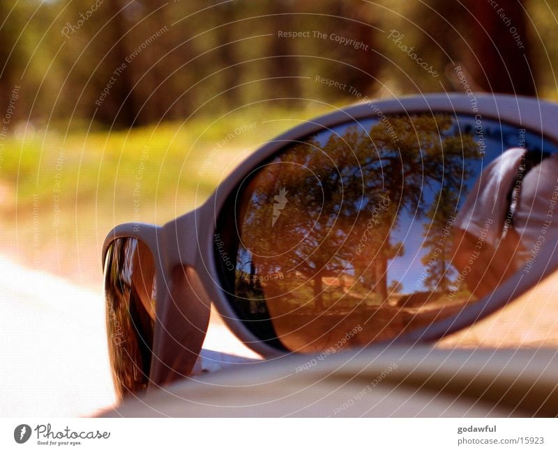 sun glasses Sonnenbrille Stil Sommer Physik Reflexion & Spiegelung Brille Fototechnik Wärme glaesser