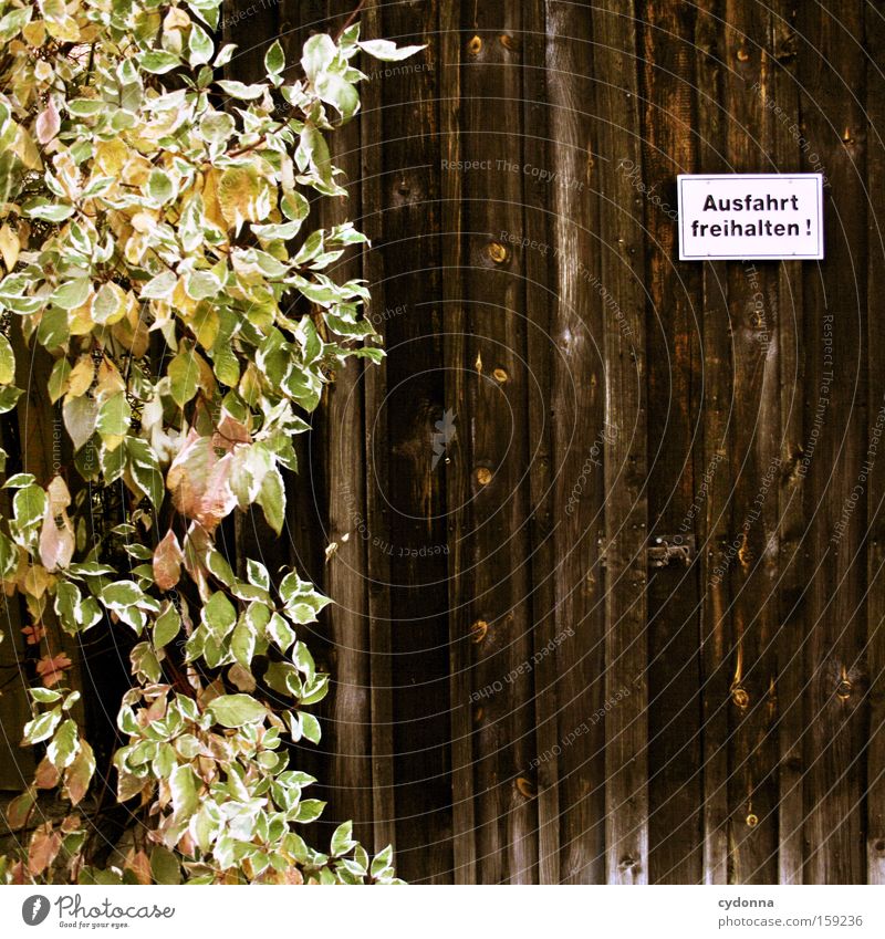 Ausfahrt freihalten II Schilder & Markierungen Hinweisschild Holz Wand Pflanze grün Heimat Wunsch Schriftzeichen Garage Tor Detailaufnahme Buchstaben