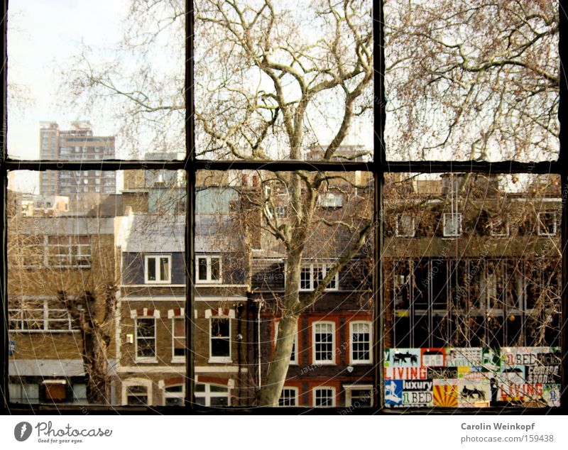 Hoxton Square. London England Großbritannien Baum Haus Fenster Blick Aussicht Wohnung Loft Häusliches Leben Verkehrswege Shoreditch