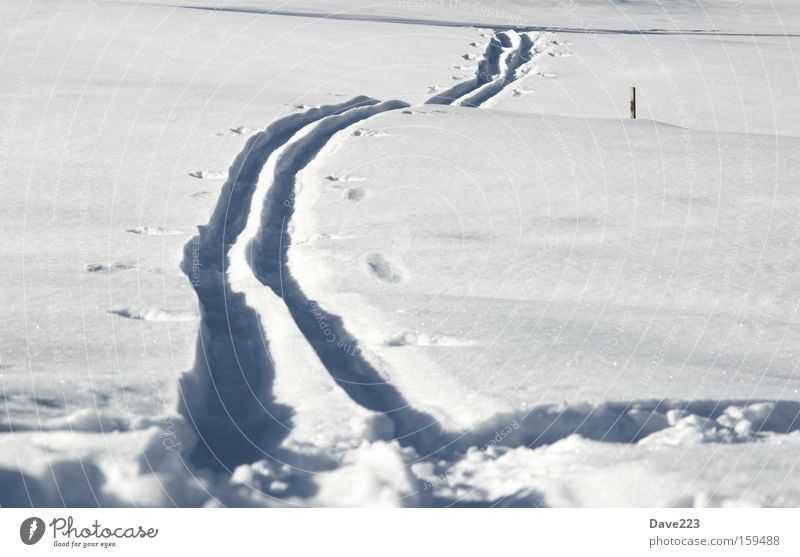 Der Weg Schnee Tiefschnee Winter Wege & Pfade Spuren Nummer eins Schweiz Klosters