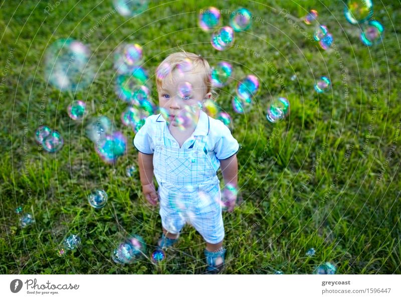 Ein kleiner 16 Monate alter Junge schaut sich Seifenblasen an. Träume des Babys. Lifestyle Freude Glück schön Gesicht Freizeit & Hobby Spielen Sommer Garten