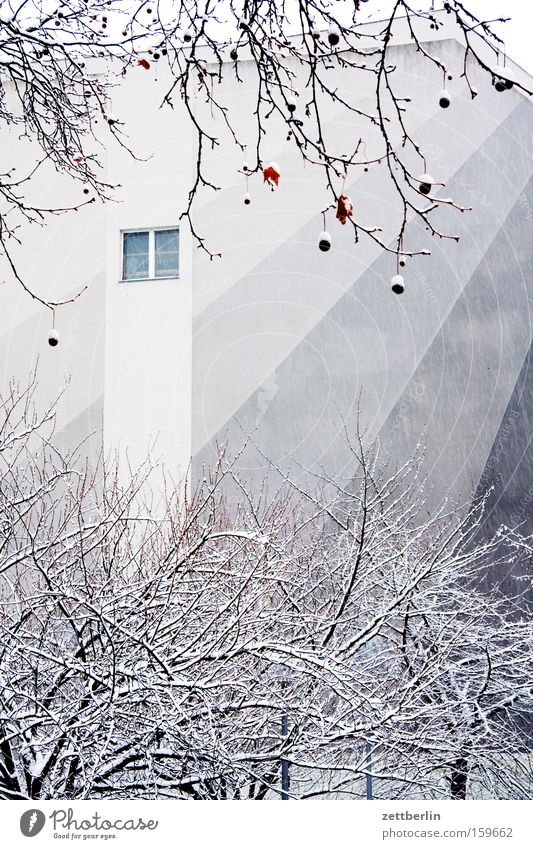 Tarnung Winter Schnee Neuschnee Schneedecke Haus Stadthaus Farbe gestalten Baum Platane Mauer Brandmauer Fenster Detailaufnahme kunst am bau fassadengestaltung