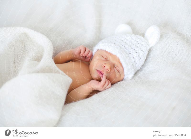 Newborn Bett Baby Kindheit 1 Mensch 0-12 Monate Mütze kuschlig klein schlafen träumen Farbfoto Innenaufnahme Hintergrund neutral Tag Schwache Tiefenschärfe