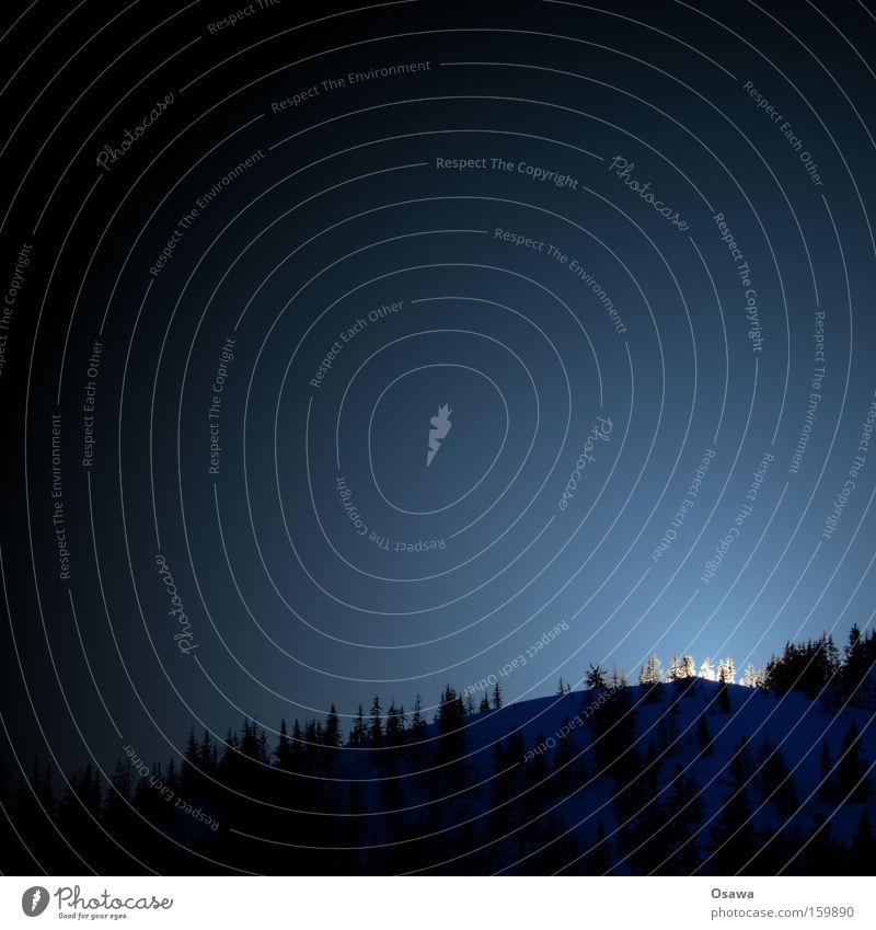 Alpiner Sonnenuntergang Berge u. Gebirge Hügel Wald Baum Gegenlicht erleuchten Scheinwerfer Licht Schnee Himmel blau Winter Nadelwald Bergrücken
