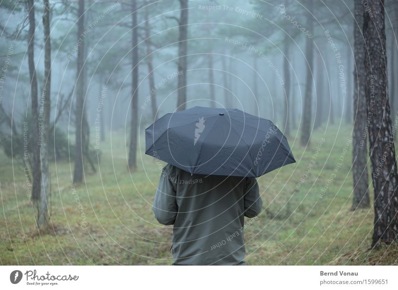 Im Regen stehen Mensch Rücken 1 Umwelt Natur Pflanze Herbst Klima Nebel Baum Gras Wald atmen Erholung Schirm dunkel Beerdigung grau Spaziergang Einsamkeit