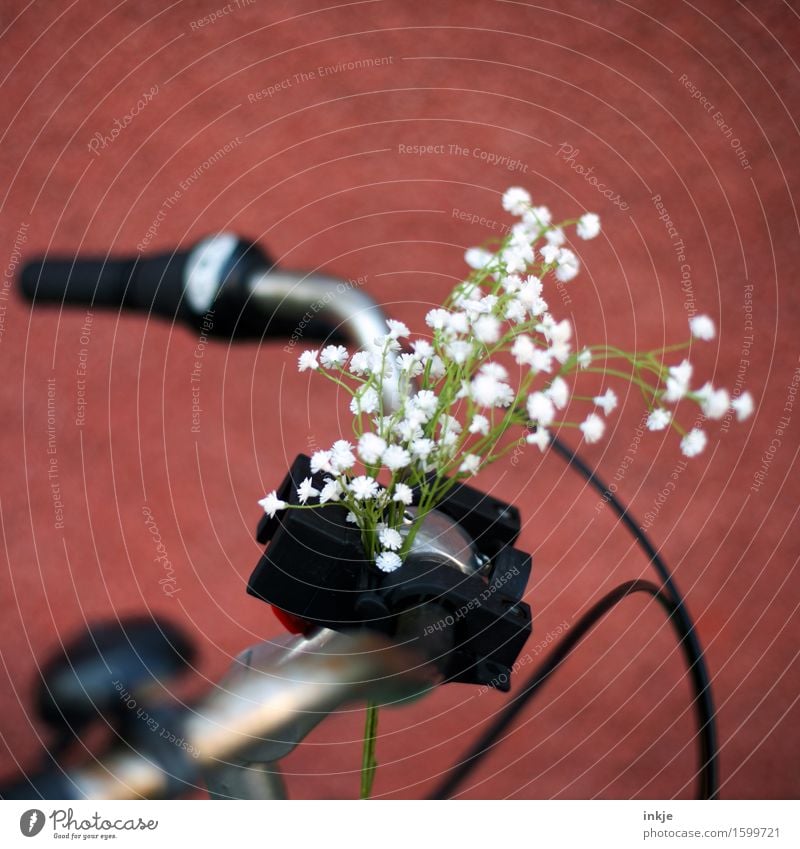 Blümchen Lifestyle Stil Freizeit & Hobby Fahrradfahren Frühling Sommer Blume Dekoration & Verzierung Blumenstrauß Fahrradlenker Kunststoff schön Kitsch rot