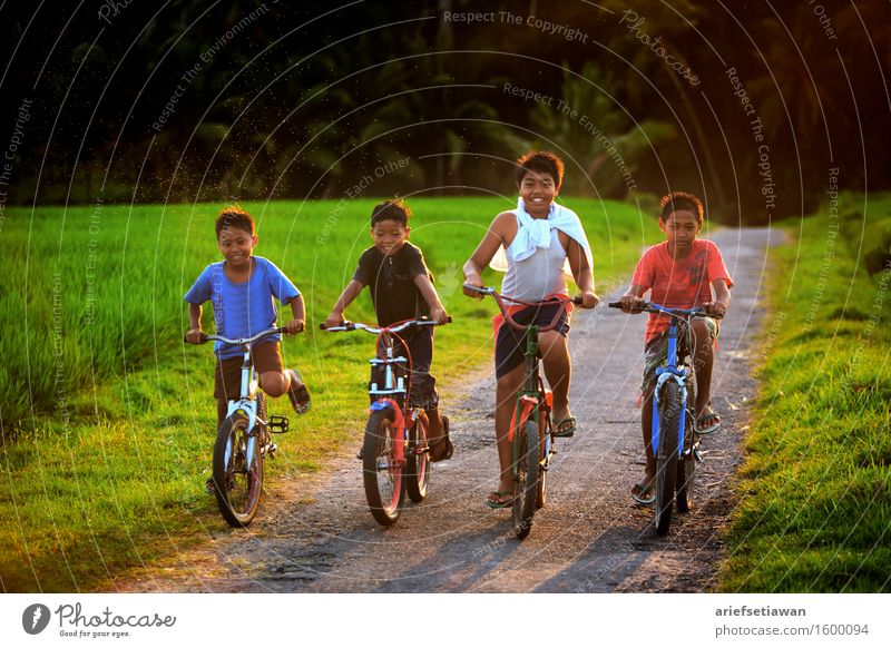 Vier Kinder mit ihren Fahrrädern Mensch maskulin Junge Bruder Freundschaft 4 Menschengruppe Kindergruppe 3-8 Jahre Kindheit Umwelt Natur Landschaft Pflanze Sand