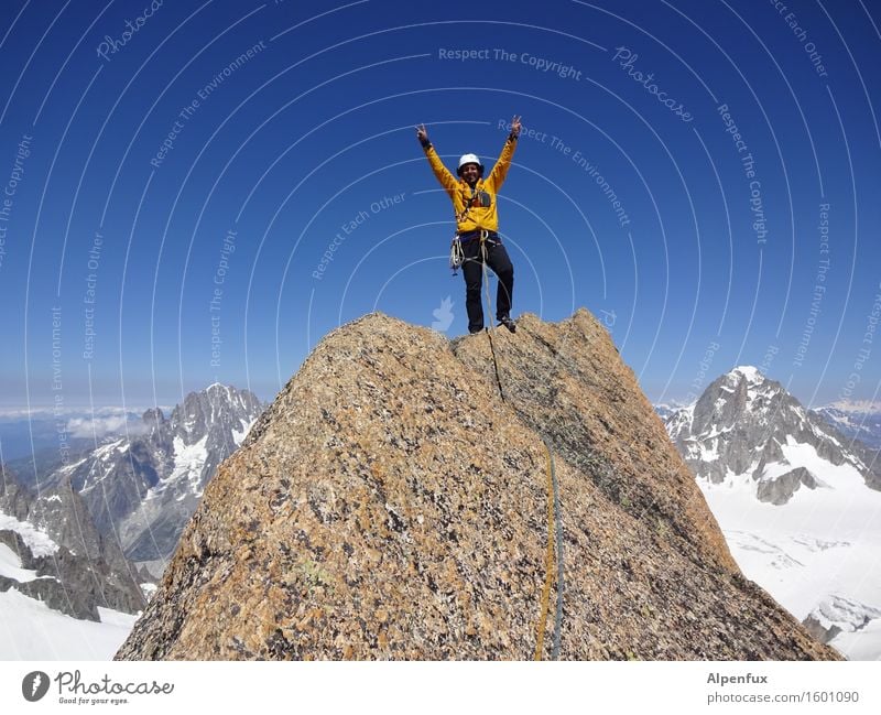 Oben ! Klettern Bergsteigen Schönes Wetter Schnee Felsen Alpen Berge u. Gebirge Mont Blanc Gipfel Feste & Feiern sportlich oben Freude Glück Zufriedenheit