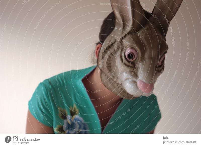Horoskop Hase Hase & Kaninchen Osterhase Ostern Tier lustig stark Frau Maske Kostüm Karneval Freude China