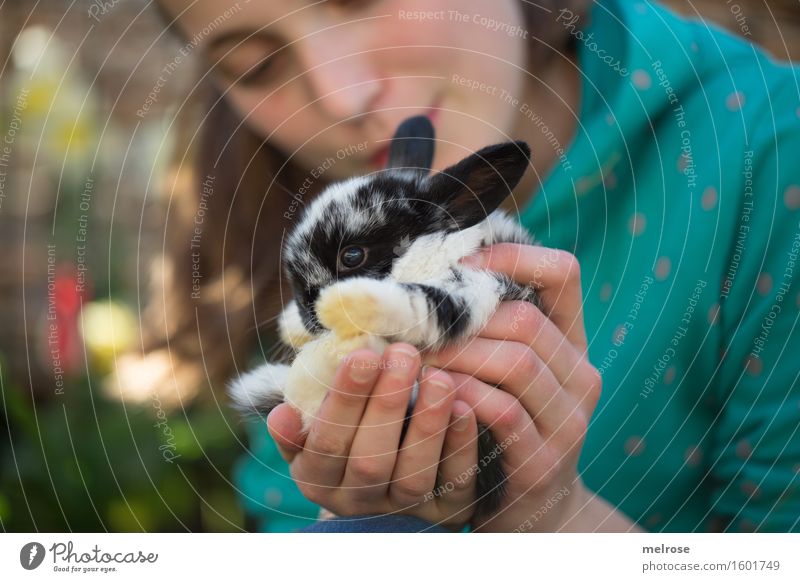 I versteck mi ... Mädchen Gesicht Hand Finger Oberkörper 1 Mensch 8-13 Jahre Kind Kindheit Blume Garten Tiergesicht Fell Pfote Zwergkaninchen Hasenbaby