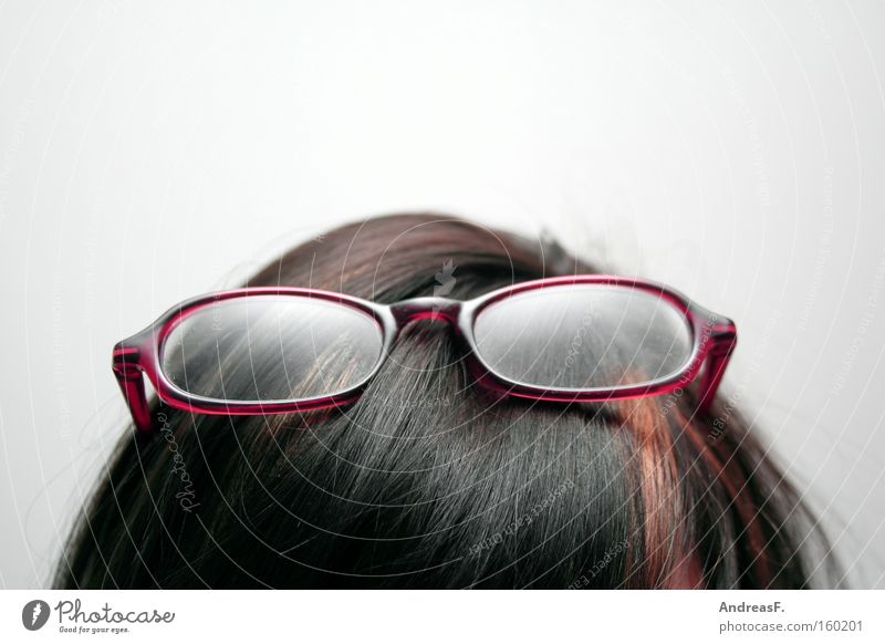 Brille Brillenträger Brillenschlange Kopf blind Haare & Frisuren streben fleißig Lehrer Optiker Blick Beamte Öffentlicher Dienst Konzentration sehschwäche