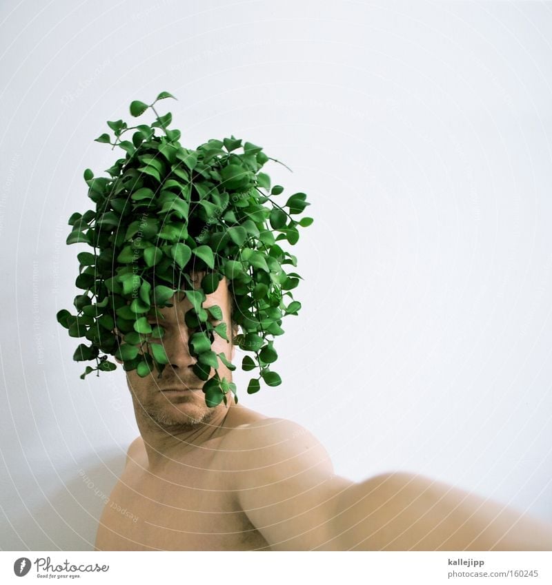 bubikopf Pflanze ökologisch Bioprodukte Biologische Landwirtschaft Waldmensch Mann Mensch Haare & Frisuren Perücke Haarprobe Friseur Friseursalon Porträt