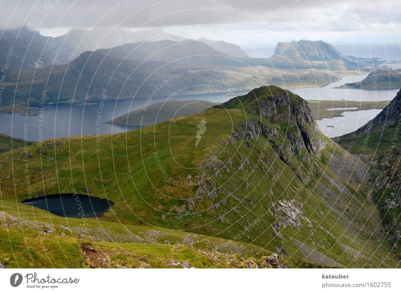 traumhafte aussicht Landschaft Wiese Hügel Felsen Berge u. Gebirge Fjord See Unendlichkeit saftig grün Lofoten Norwegen Sommer Niveau ryten Aussicht diffus