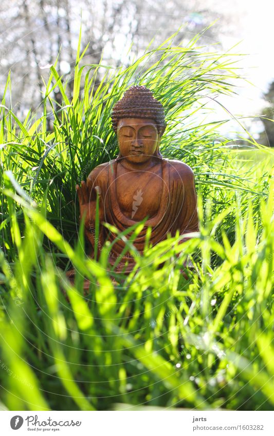 buddha 1 Mensch Schönes Wetter Pflanze Gras Garten Wiese Dekoration & Verzierung Holz sitzen Optimismus Vorsicht Gelassenheit geduldig ruhig Selbstbeherrschung