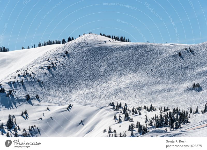 Bergwinter Umwelt Natur Landschaft Himmel Winter Schönes Wetter Schnee Hügel Berge u. Gebirge Gipfel Schneebedeckte Gipfel blau weiß Farbfoto Außenaufnahme