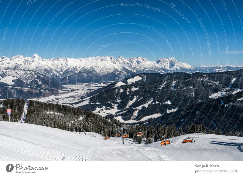 Bergwinter Erholung Ferien & Urlaub & Reisen Ferne Freiheit Winter Schnee Winterurlaub Berge u. Gebirge Wintersport Skifahren Natur Landschaft