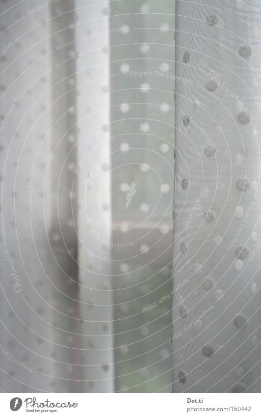het gordijntje Gardine Vorhang Punkt gepunktet weiß Sichtschutz verstecken Tarnung Fenster Aussicht altmodisch Dekoration & Verzierung Häusliches Leben
