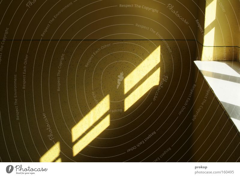 Lichtleck Sonne Schatten graphisch Linie Strukturen & Formen Platz Flur Fenster Verlauf hell dunkel diagonal Grafik u. Illustration Detailaufnahme Konzentration