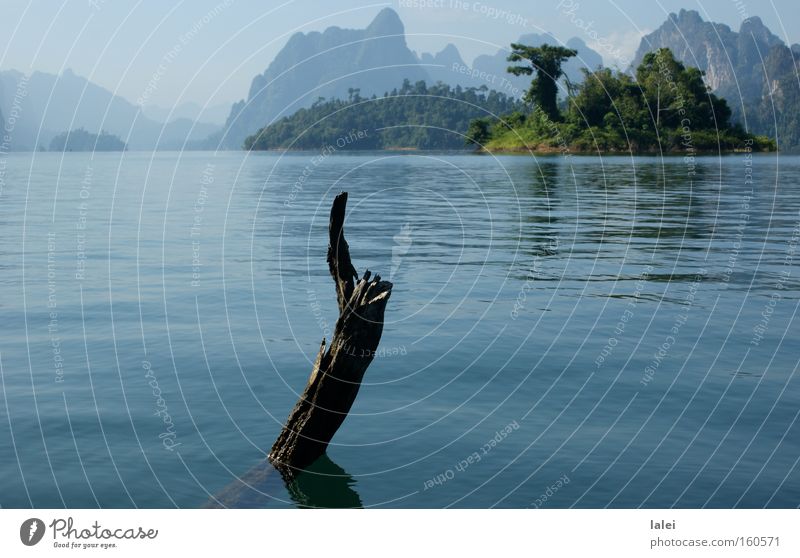 Rachabrapha-Stausee Ast Wasser Berge u. Gebirge Natur Blauer Himmel Asien Thailand Baum Urwald Landschaft See Ferien & Urlaub & Reisen Khao Sok Insel