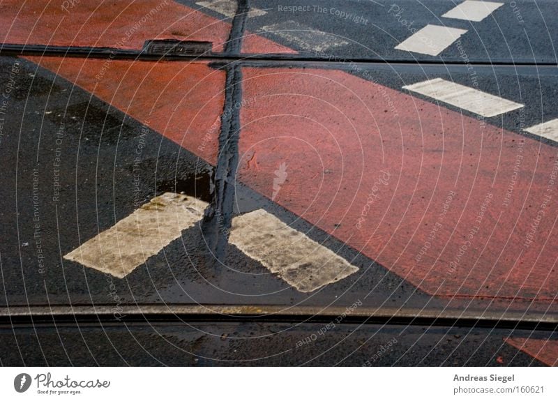 Lebenserwartung: 30 Sekunden Dresden Fahrbahn Straße Schilder & Markierungen Teer Linie Fahrradweg Farbe Gleise Verkehr nass Regen dreckig Naht rot schwarz weiß