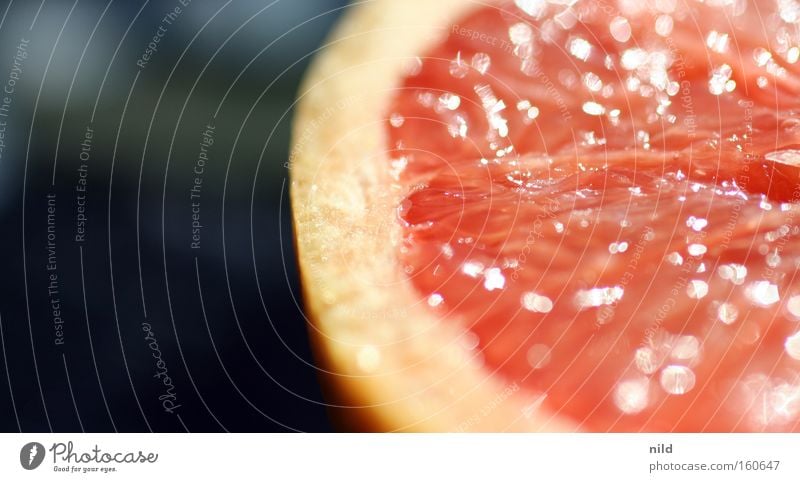Vitaminschock Grapefruit Tomate Zitrusfrüchte Frucht süß rosa Gesundheit saftig Saft lecker Makroaufnahme Nahaufnahme Wut zitrus