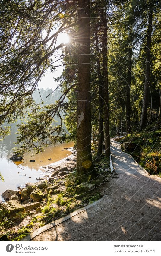 neulich beim wandern Erholung ruhig Ferien & Urlaub & Reisen Ausflug Sommer Berge u. Gebirge Natur Landschaft Seeufer Freude Zufriedenheit Lebensfreude Bewegung